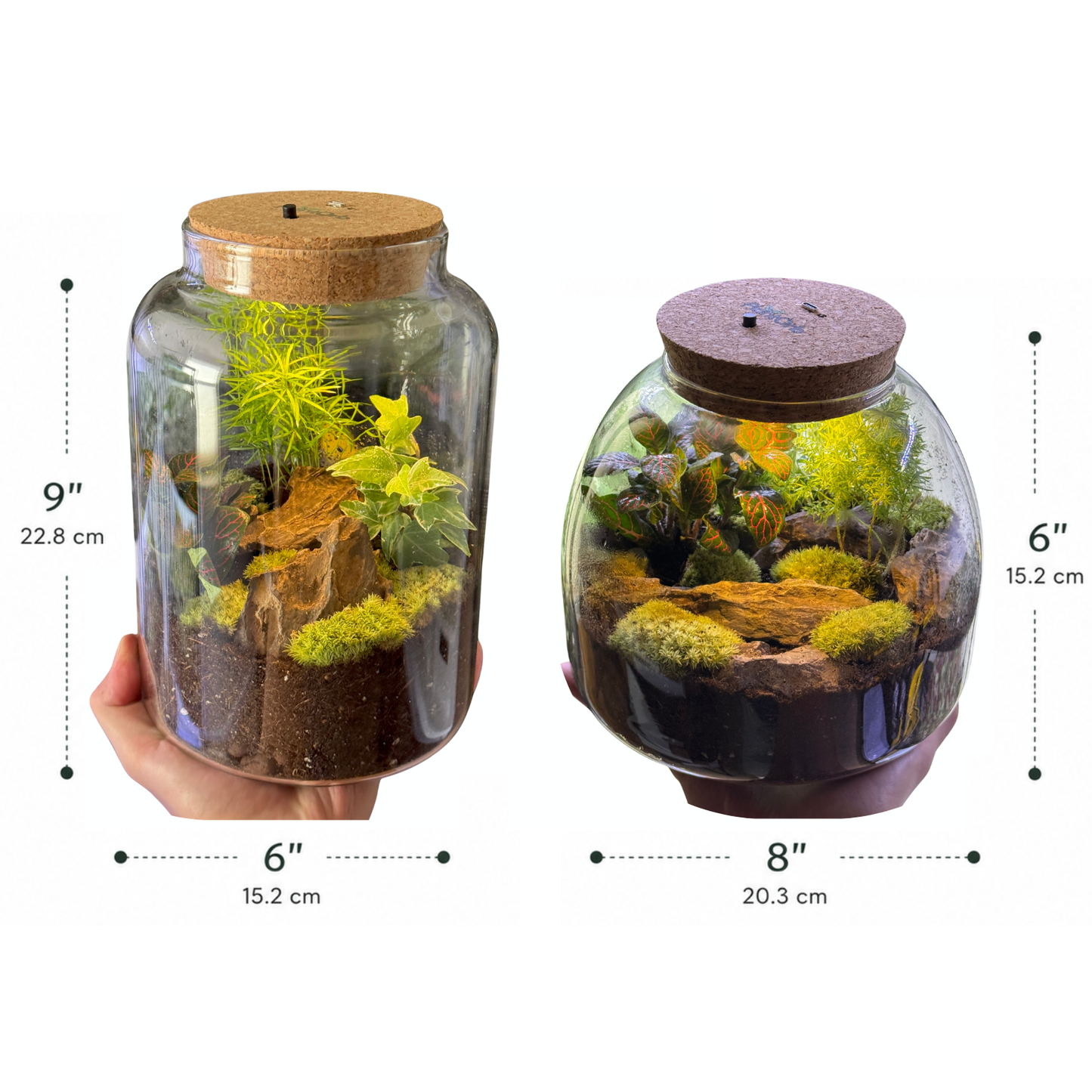 Light Up Terrarium Kit