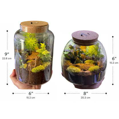 Light Up Terrarium Kit