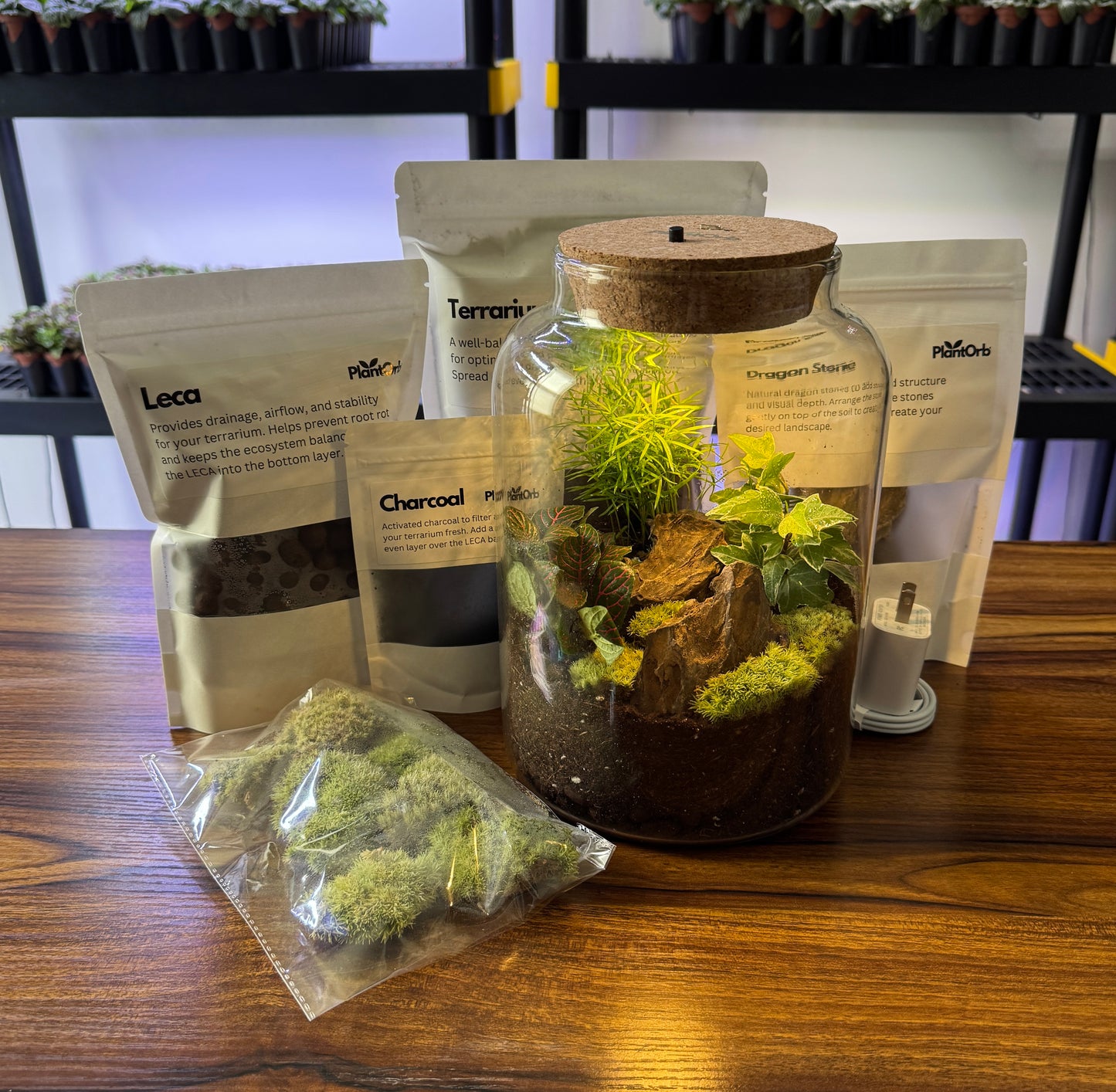 Light Up Terrarium Kit