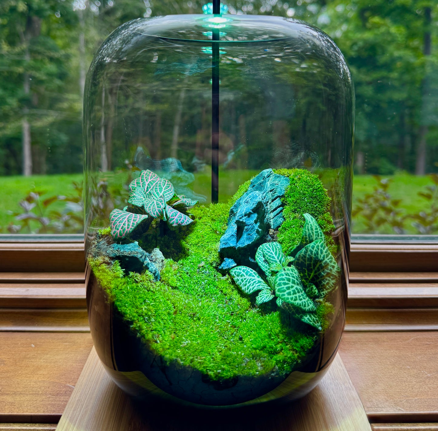 PlantOrb™ Zen Garden