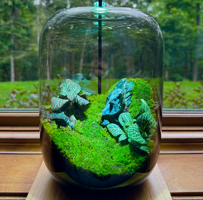 PlantOrb™ Zen Garden