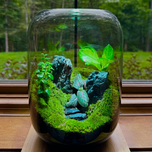 PlantOrb™ Small World