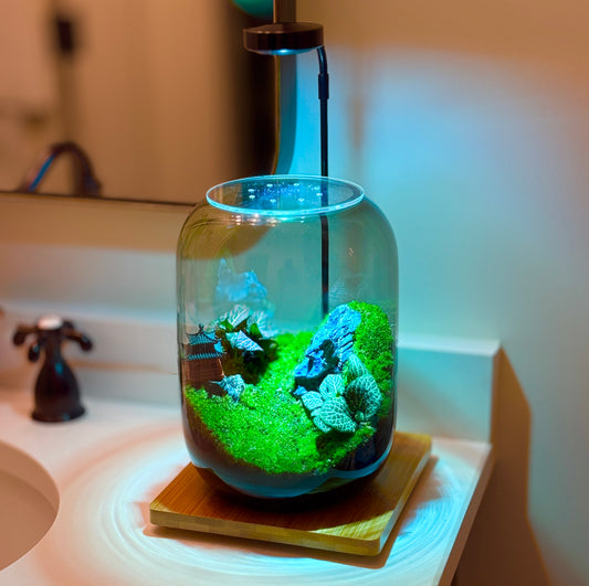 PlantOrb™ Zen Garden