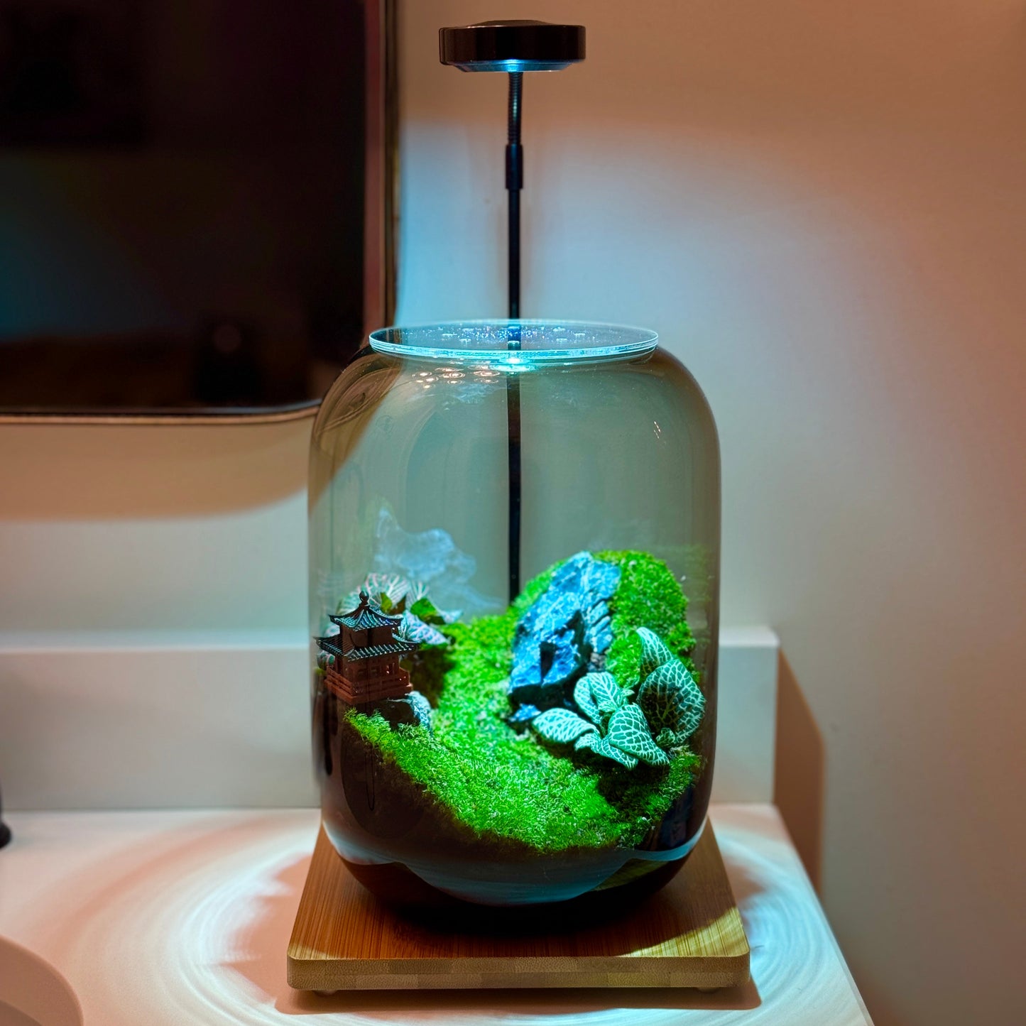 PlantOrb™ Zen Garden
