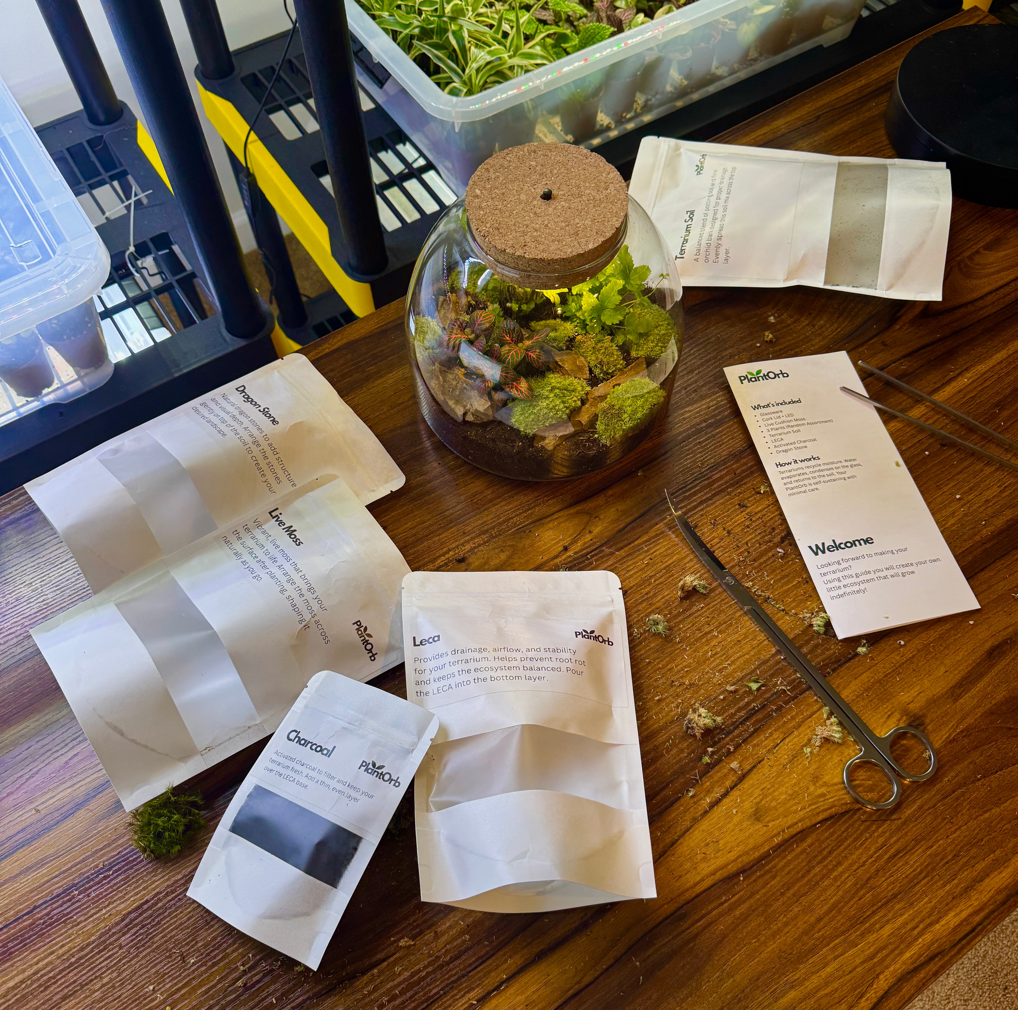 Light Up Terrarium Kits - Self Sustaining Ecosystems – PlantOrb