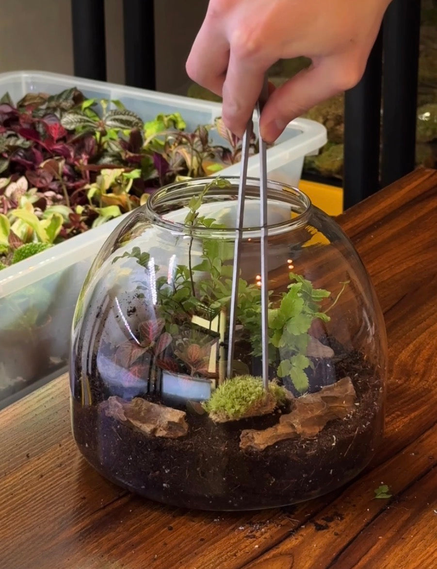 Terrarium Tool Kit