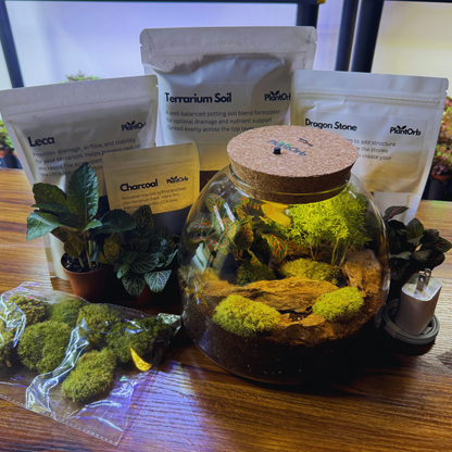 Light Up Terrarium Kit